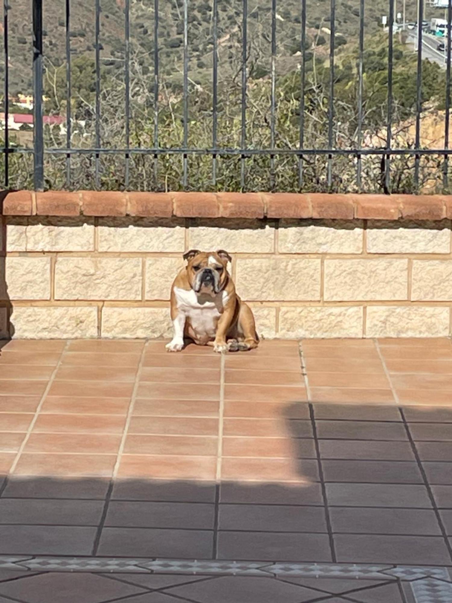 Cariad Boutique Bed & Breakfast La Cala Del Moral Екстер'єр фото
